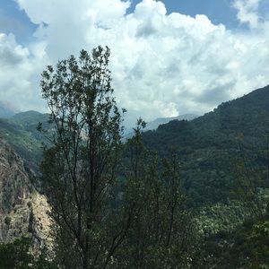 Meet your Posher, Luca